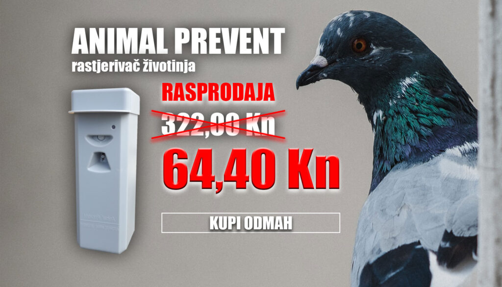 rasprodaja-80-posto-05