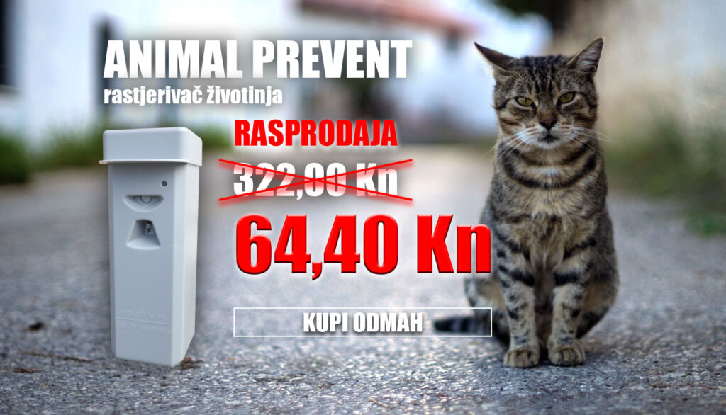 rasprodaja-80-posto-cat-05