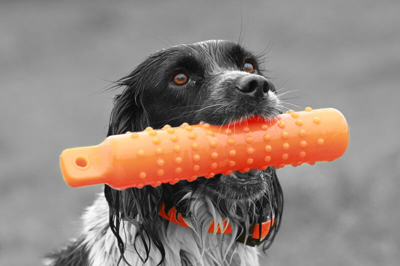 Kampiranje s djecom je prava obiteljska avantura.